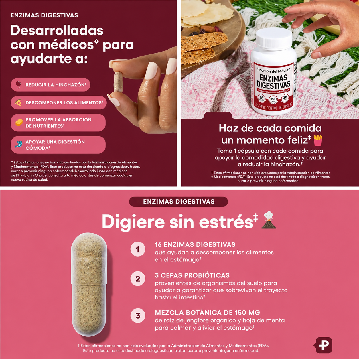 🧬 DIGESTIVE ENZYMES